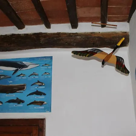 Daire Casa Alice Rio dellʼElba