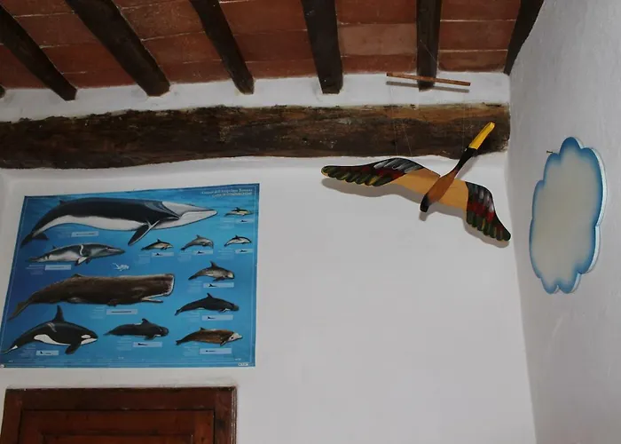 Apartamento Casa Alice Rio dellʼElba